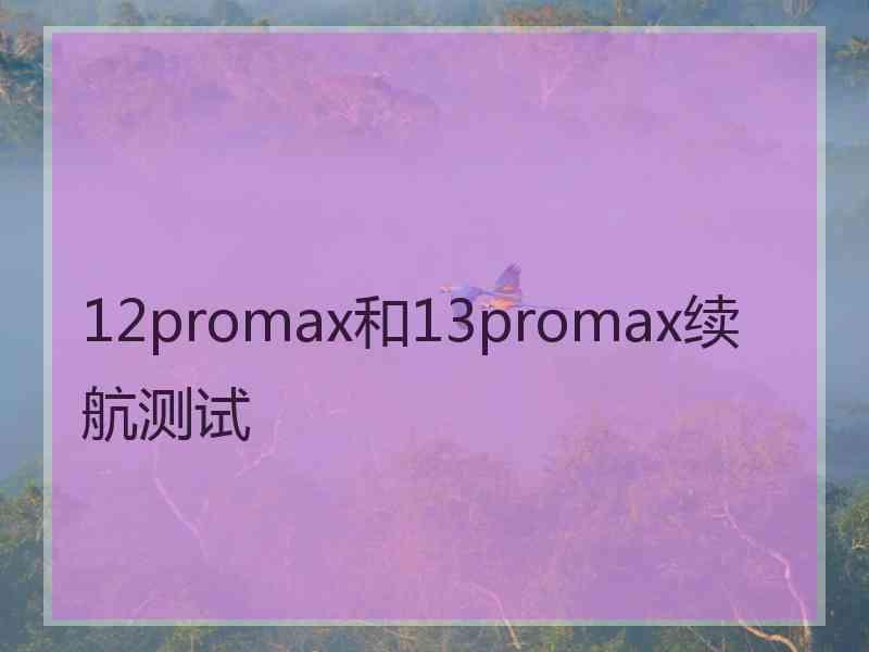 12promax和13promax续航测试