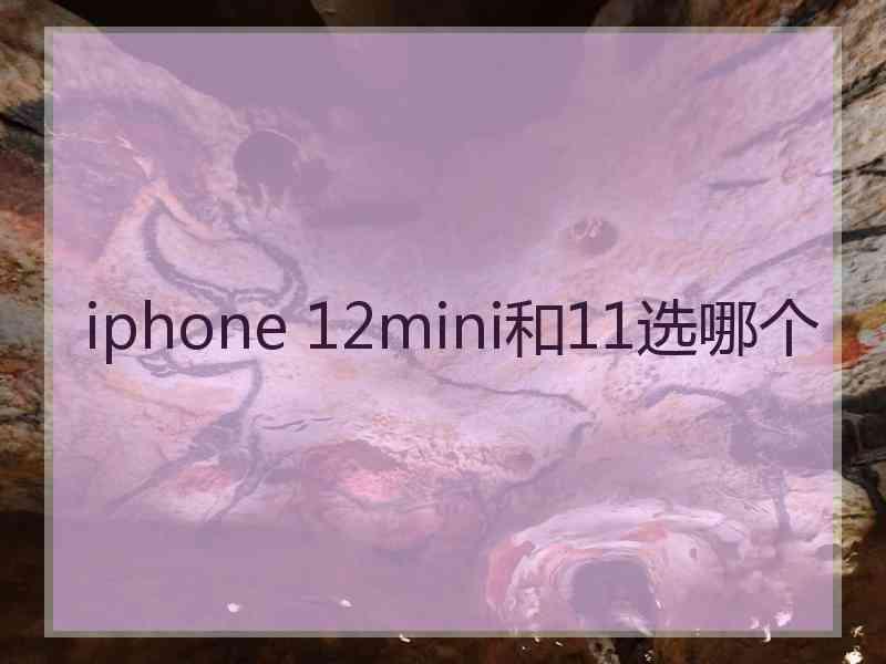 iphone 12mini和11选哪个