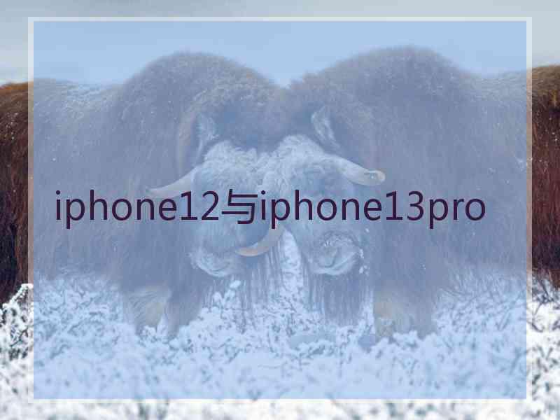 iphone12与iphone13pro