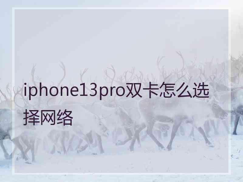 iphone13pro双卡怎么选择网络