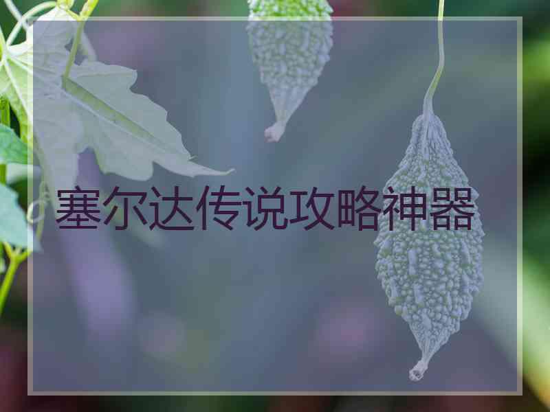 塞尔达传说攻略神器