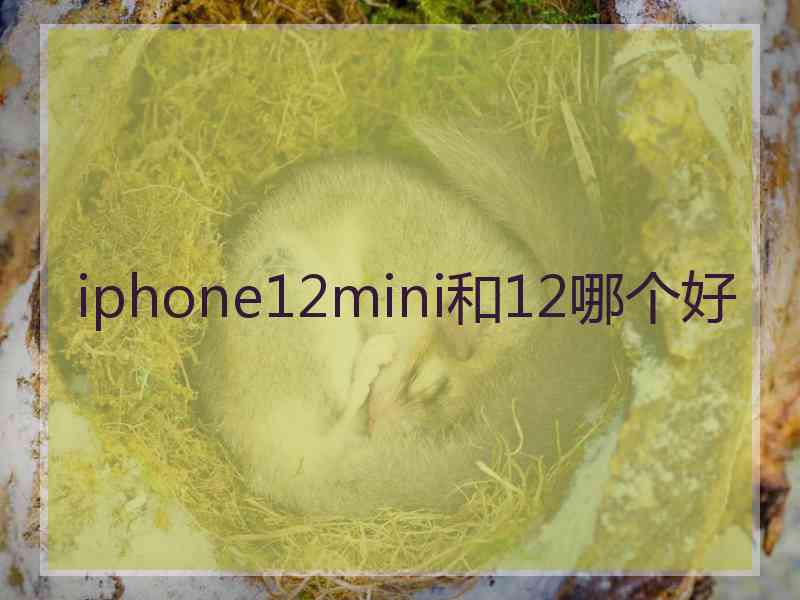 iphone12mini和12哪个好