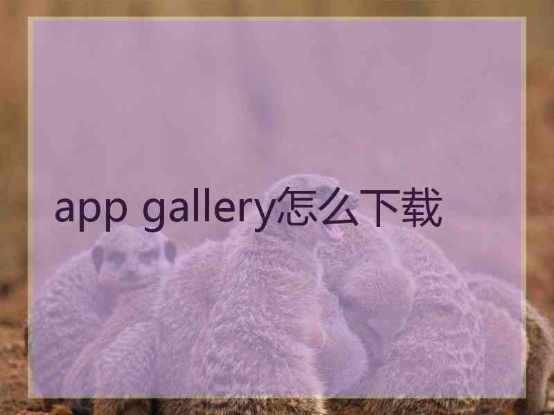 app gallery怎么下载