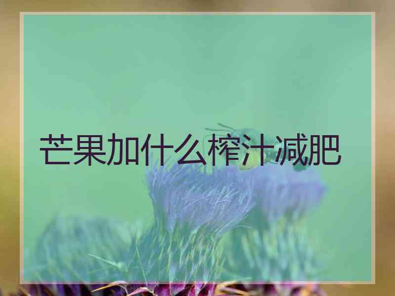 芒果加什么榨汁减肥