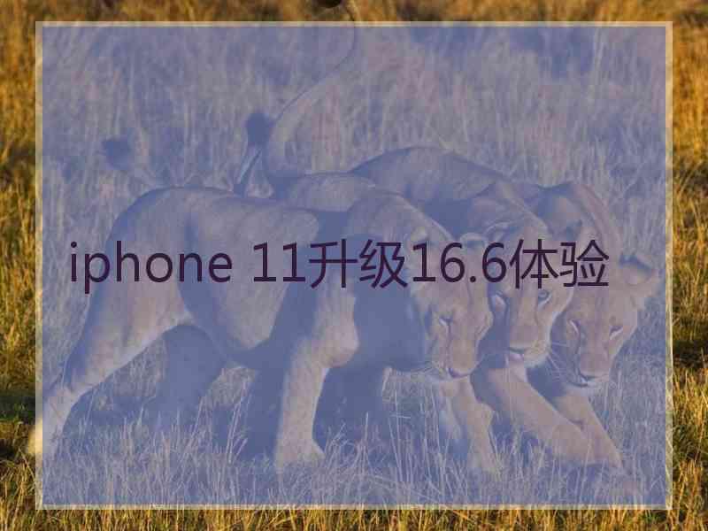 iphone 11升级16.6体验