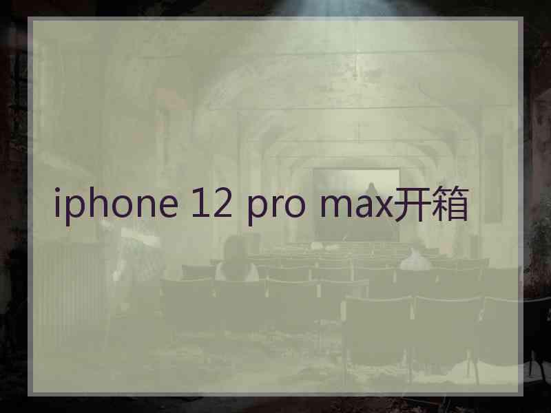 iphone 12 pro max开箱