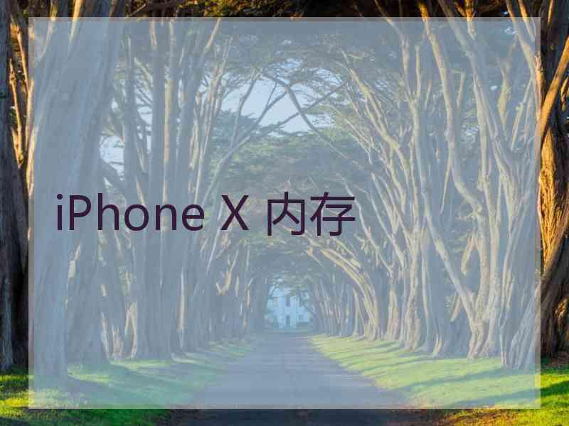 iPhone X 内存