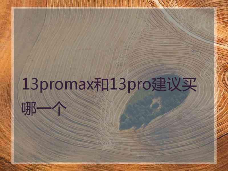 13promax和13pro建议买哪一个