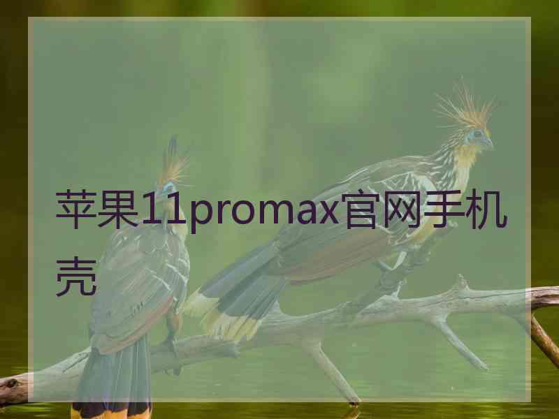 苹果11promax官网手机壳