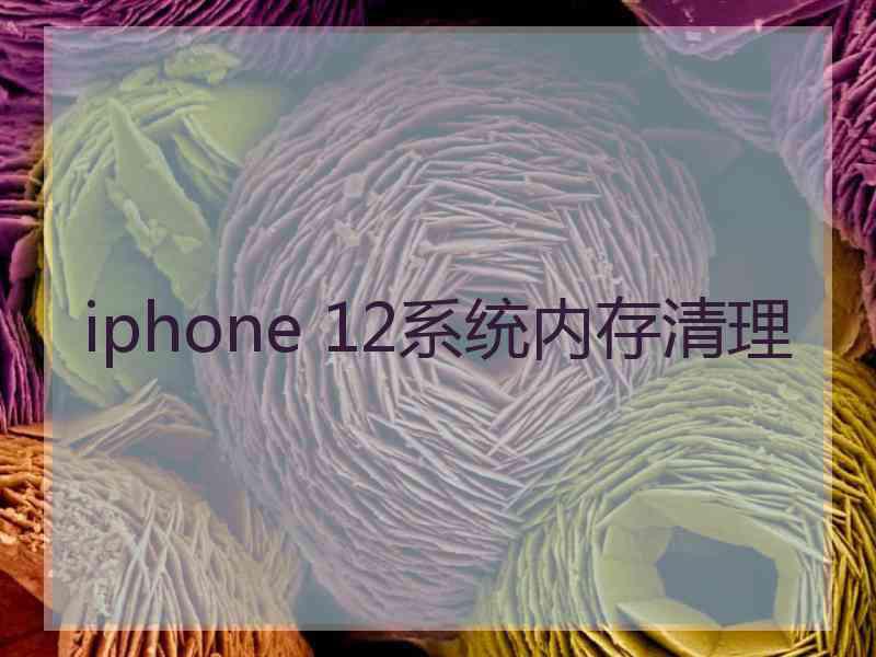 iphone 12系统内存清理