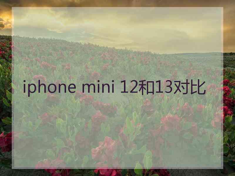 iphone mini 12和13对比