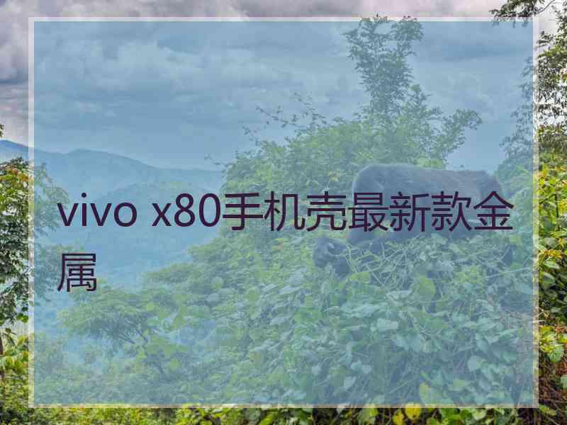 vivo x80手机壳最新款金属