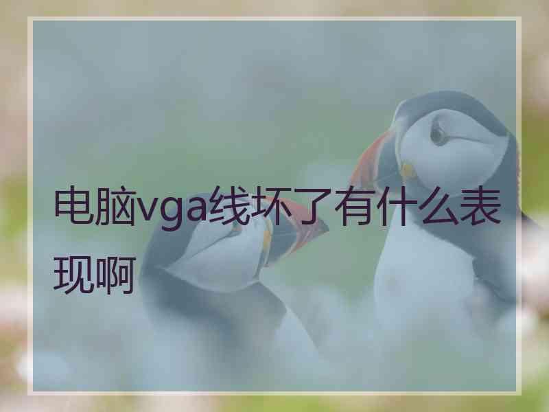 电脑vga线坏了有什么表现啊