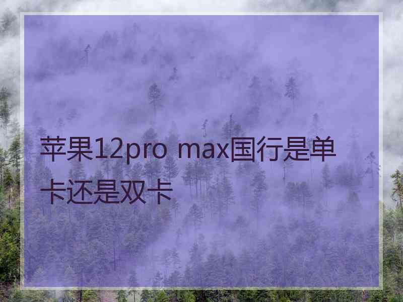 苹果12pro max国行是单卡还是双卡