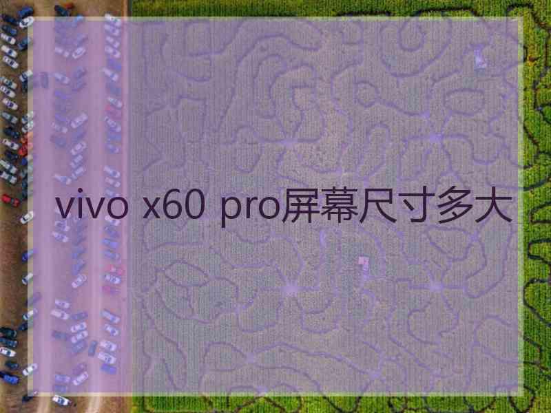 vivo x60 pro屏幕尺寸多大