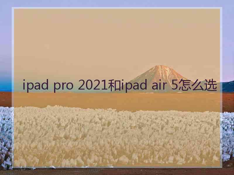 ipad pro 2021和ipad air 5怎么选