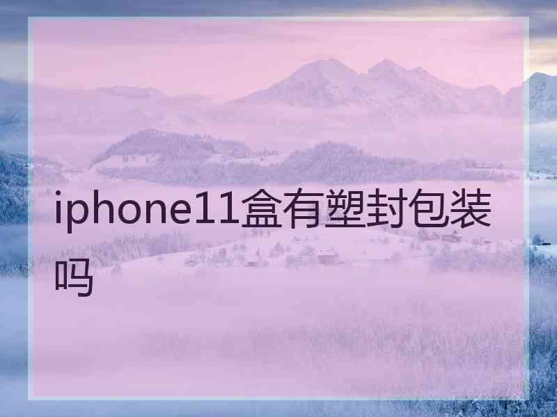 iphone11盒有塑封包装吗