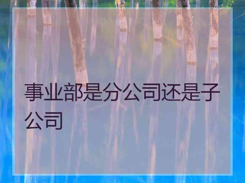 事业部是分公司还是子公司