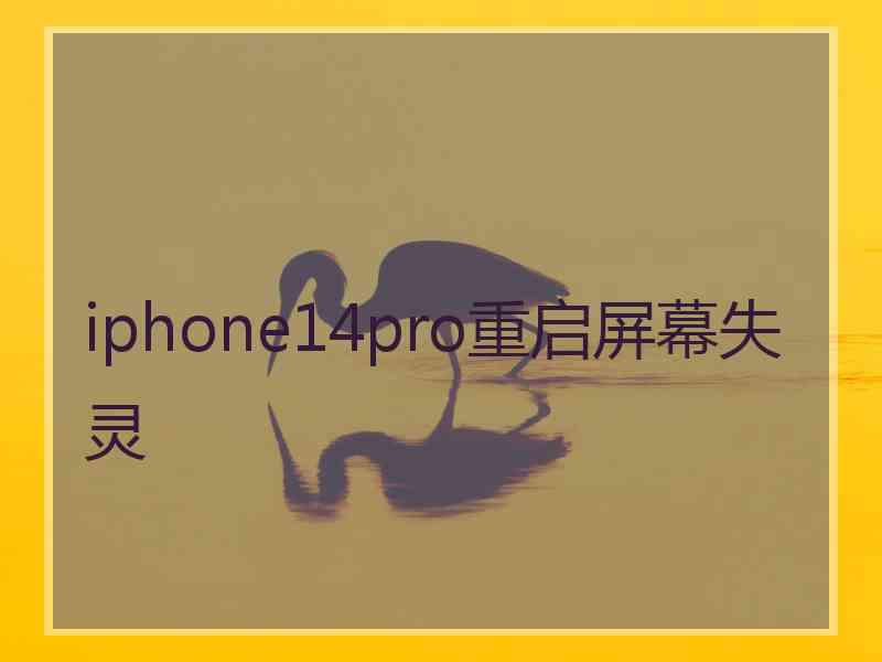 iphone14pro重启屏幕失灵