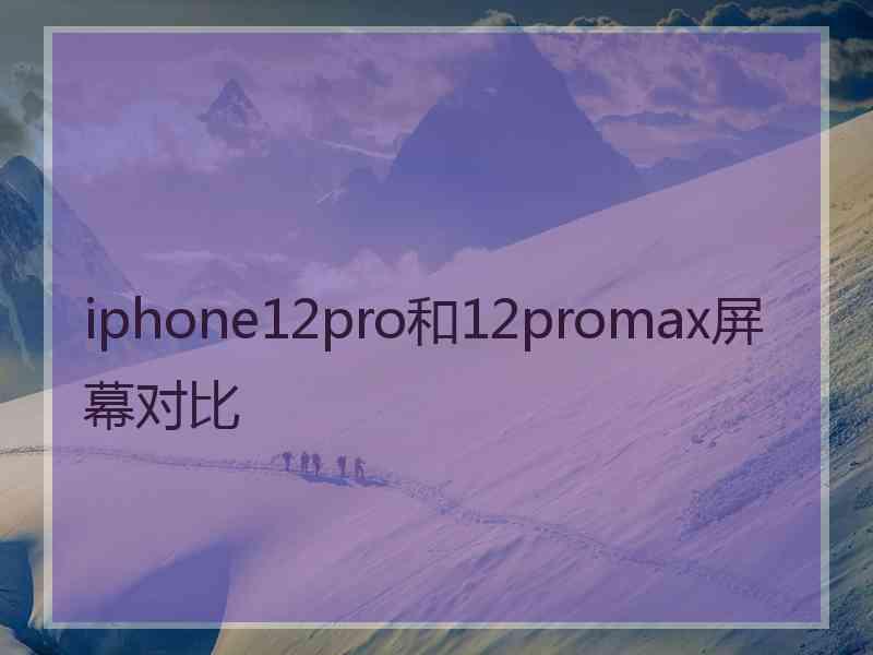 iphone12pro和12promax屏幕对比