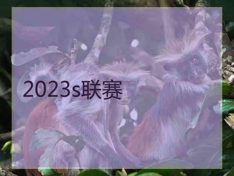 2023s联赛