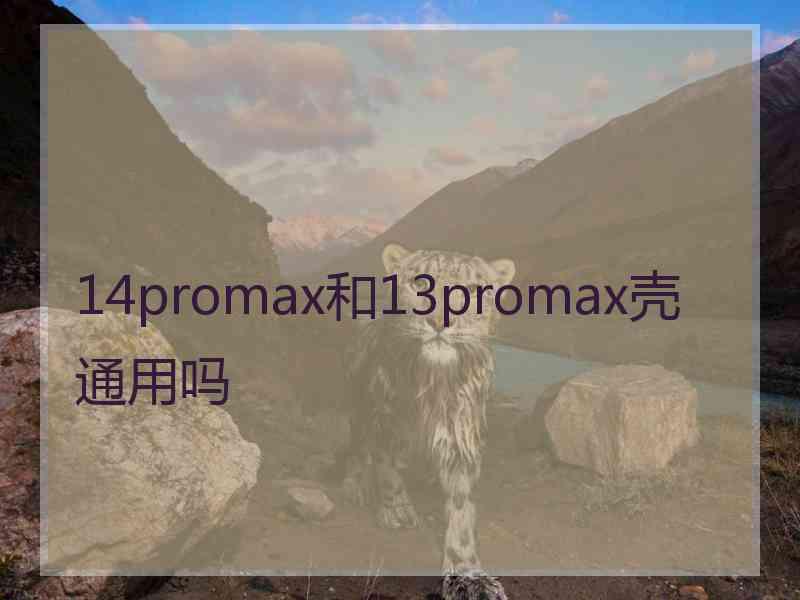 14promax和13promax壳通用吗