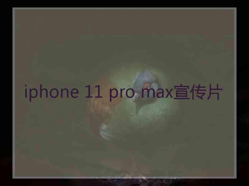 iphone 11 pro max宣传片