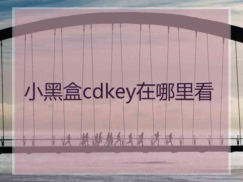 小黑盒cdkey在哪里看