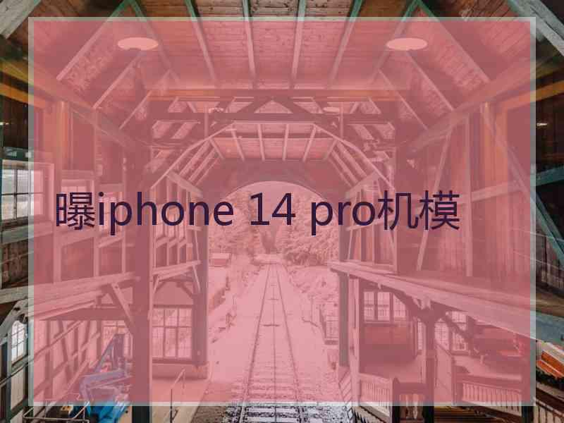 曝iphone 14 pro机模