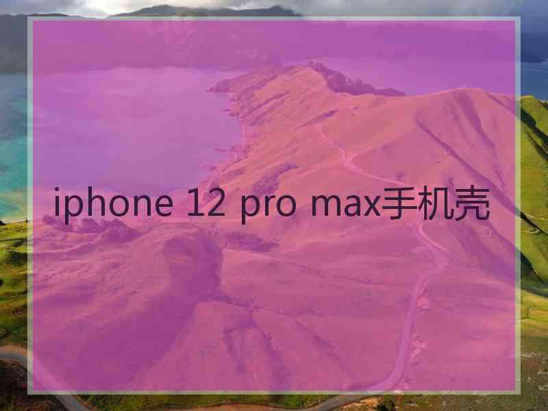 iphone 12 pro max手机壳