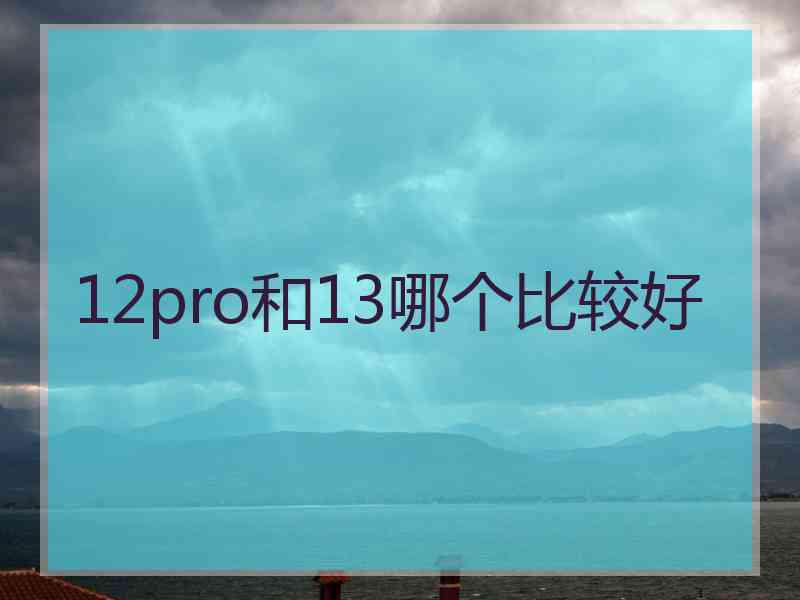 12pro和13哪个比较好