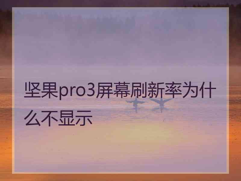 坚果pro3屏幕刷新率为什么不显示