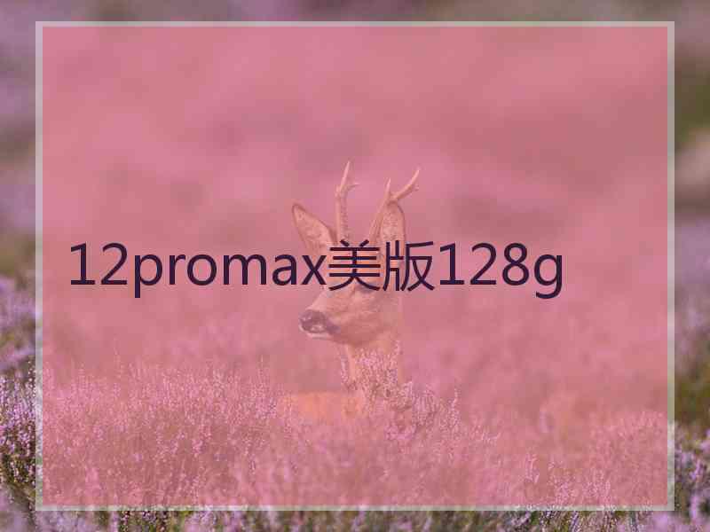 12promax美版128g