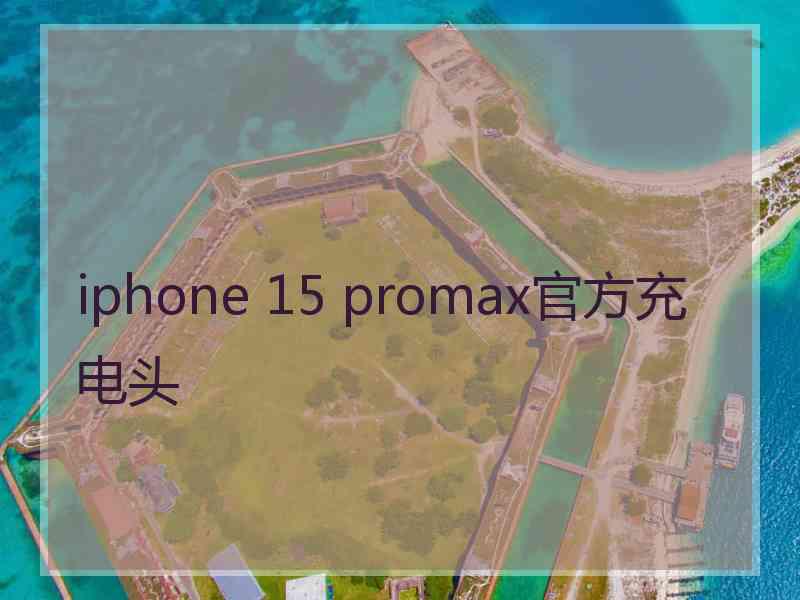 iphone 15 promax官方充电头