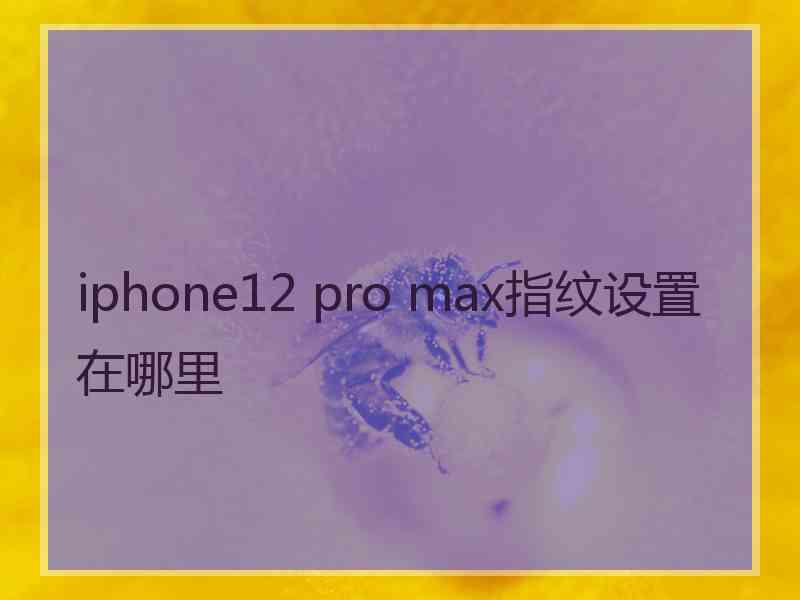 iphone12 pro max指纹设置在哪里