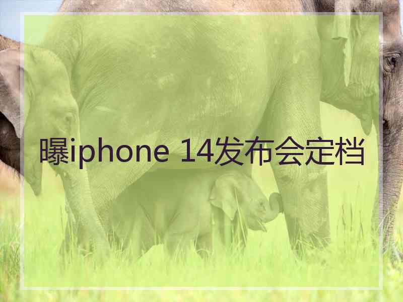 曝iphone 14发布会定档