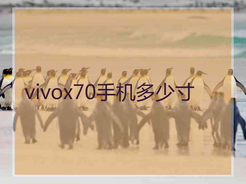 vivox70手机多少寸