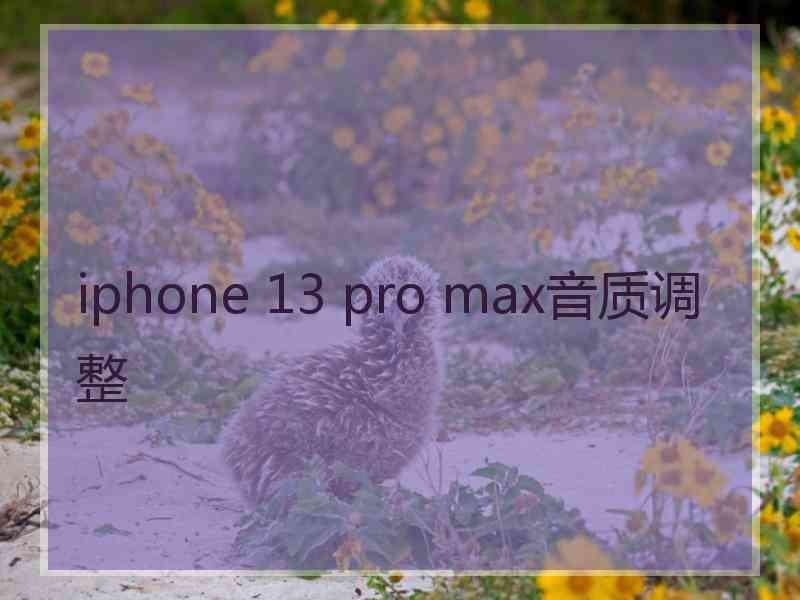 iphone 13 pro max音质调整