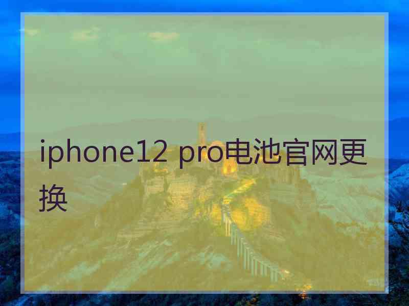 iphone12 pro电池官网更换