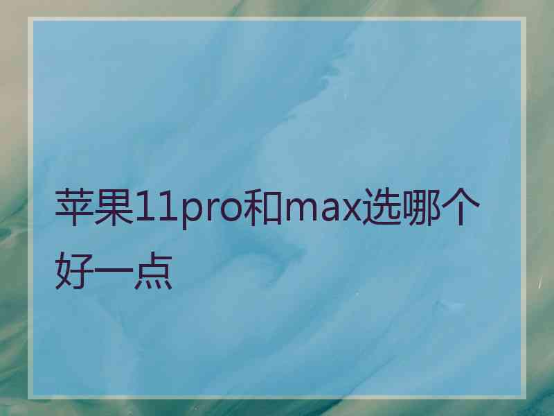 苹果11pro和max选哪个好一点