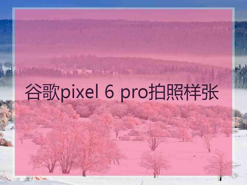 谷歌pixel 6 pro拍照样张