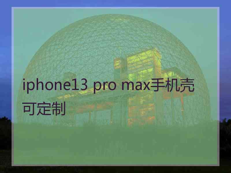 iphone13 pro max手机壳可定制