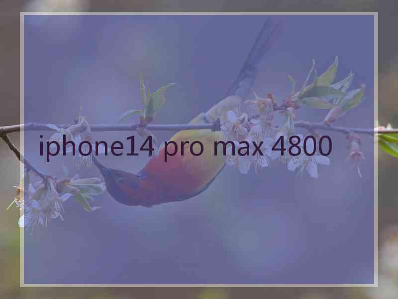 iphone14 pro max 4800