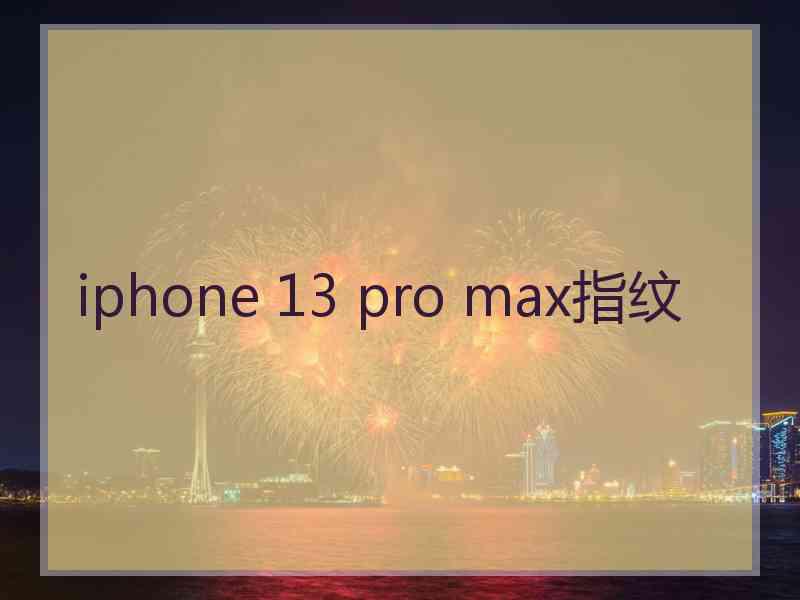 iphone 13 pro max指纹