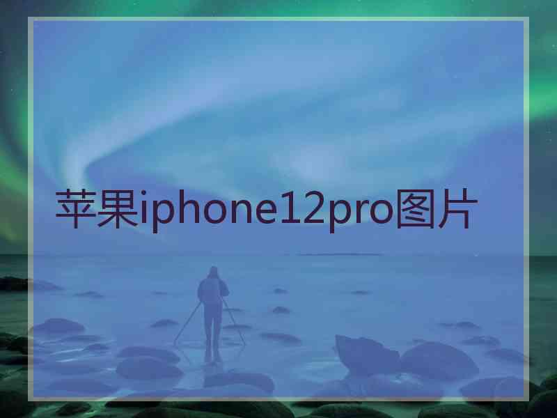 苹果iphone12pro图片