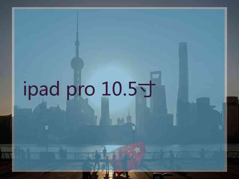 ipad pro 10.5寸