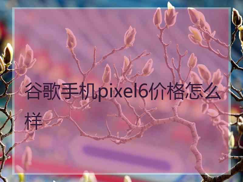 谷歌手机pixel6价格怎么样