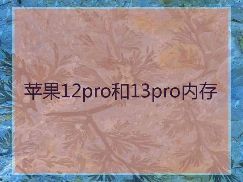 苹果12pro和13pro内存