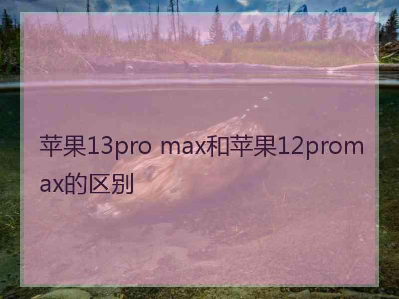 苹果13pro max和苹果12promax的区别