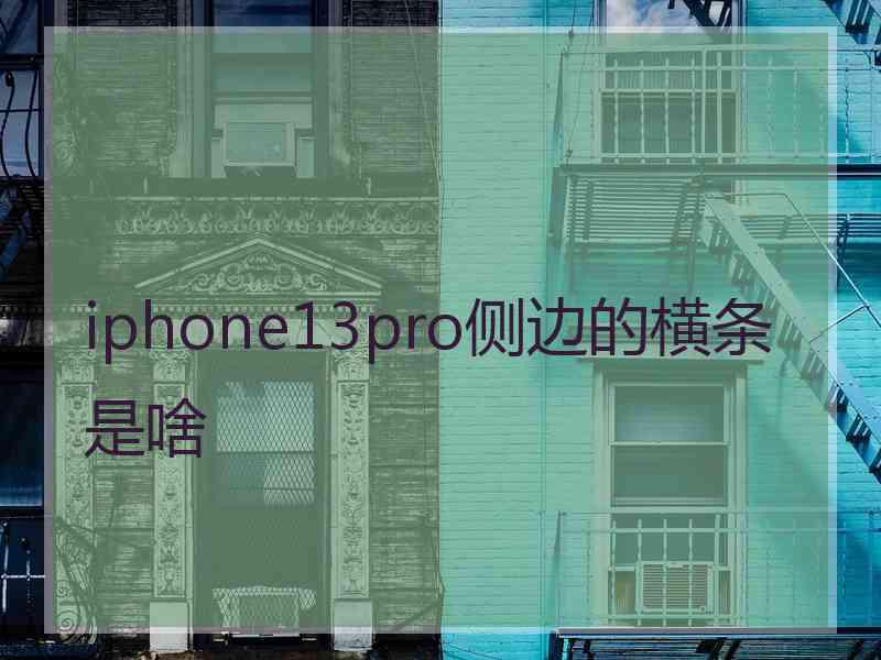 iphone13pro侧边的横条是啥